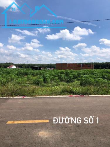 ĐỊNH CƯ SANG ÚC BÁN 3000M2 ĐẤT THỔ CƯ MT TỈNH LỘ NẰM SÁT CHỢ DÂN CƯ ĐÔNG GIÁ 660 TRIỆU - 2