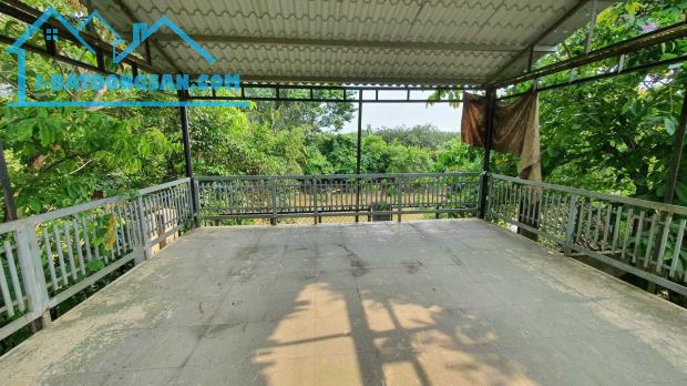 Vườn bưởi MT Bình Lục-Long Phú, Tân Bình, Vĩnh Cửu, 1200m2, giá 10 tỷ. - 2