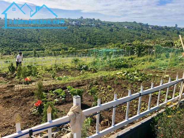 Mở bán 64 lô đất xã Lộc Quảng, Bảo Lâm Lâm Đồng - bảo lộc hills - master land propertyxvn - 1