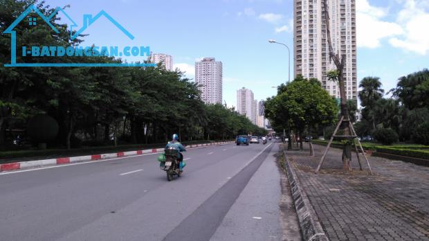 Bán biệt thự phố Cầu đơ, Quang Trung, Hà đông, Hà Nội,228m2*4T, MT11m, 25 tỷ. - 3