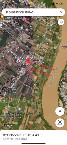 Bán 9sào mặt sông cái quốc lộ 1A thôn phước lợi xã phước thuận,huyện ninh phước ninh thuận - 4