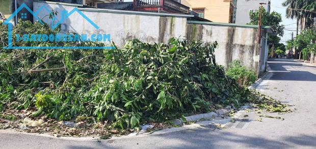Bán đất Đồng Nhân Hải Bối ô tô 1 bước ra đường lớn 65m 3.75 tỷ Đông Anh
