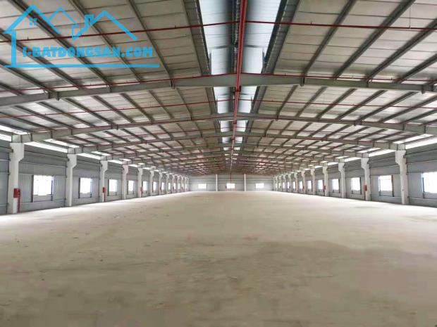 CẦN BÁN NHÀ XƯỞNG 8000M2 KHUÔN VIÊN 6300M2 THUỘC KCN HUYỆN ĐỨC HÒA, TỈNH LONG AN - 3