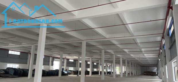 CẦN BÁN NHÀ XƯỞNG 8000M2 KHUÔN VIÊN 6300M2 THUỘC KCN HUYỆN ĐỨC HÒA, TỈNH LONG AN - 5