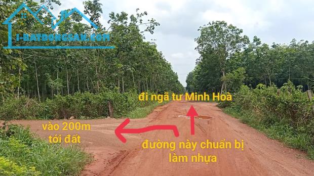 Kẹt tiền bán gấp xã lỗ lô đất Dầu Tiếng gần trung tâm xã Minh Thạnh 1200m2 chỉ 650tr SHR - 2