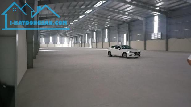 Cho thuê nhà xưởng 4000m2 trong KCN Ninh Bình mới xây dựng, PCCC tự động, SX mọi nghành ng - 2