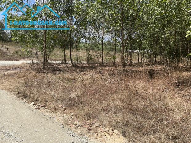 Bán Gấp lô đất đường Quốc Lộ 1A, x.Xuân Hoà, Xuân Lộc, Đồng Nai 800triệu - 5