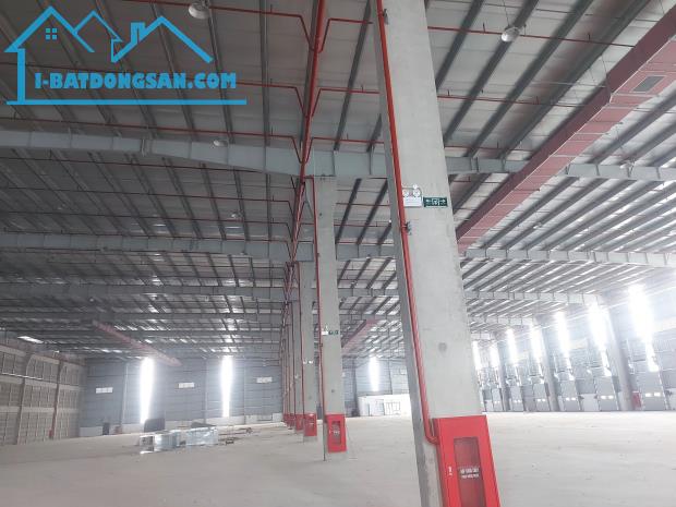 Cho thuê kho xưởng 10.000m2 mới xây KCN Thuận Đạo, huyện Bến Lức Long An