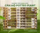 Khoảng trời xanh giữa căn hộ Potted Plant