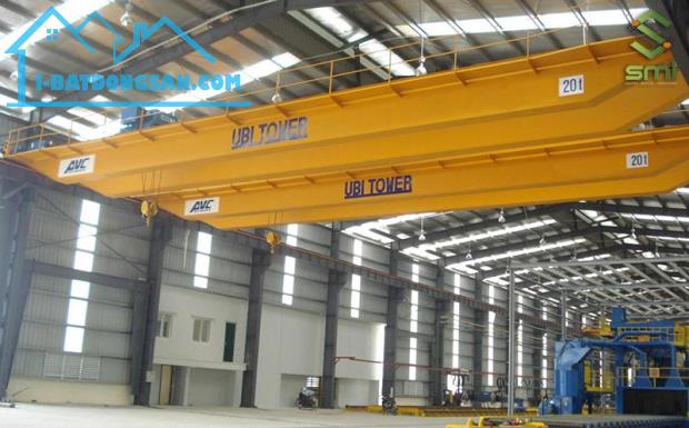 Cho thuê kho,nhà xưởng 5000m2-10000m2 thuộc Tân Đông Hiệp,Dĩ An, Bình Dương