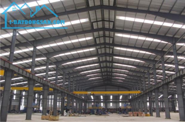 Cho thuê kho,nhà xưởng 5000m2-10000m2 thuộc Tân Đông Hiệp,Dĩ An, Bình Dương