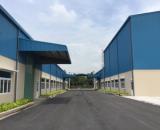 Cho thuê kho,nhà xưởng 5000m2-10000m2 thuộc Tân Đông Hiệp,Dĩ An, Bình Dương