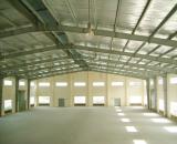 Cho thuê kho,nhà xưởng 5000m2-10000m2 thuộc Tân Đông Hiệp,Dĩ An, Bình Dương