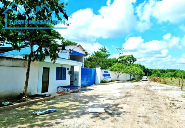 Cần tiền nên bán nhanh lô đất 1.500m2 giá 290 triệu