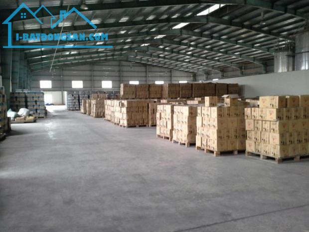 Cho thuê kho xưởng 3000m2 - 11.000m2 KCN Mỹ Xuân, Phú Mỹ, Bà Rịa Vũng Tàu