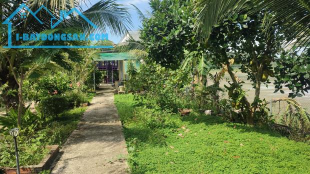 Bán 1.2 ha đất Núi Tượng, Huyện Tân Phú tặng nhà hàng sinh thái - 3