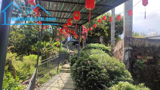 Bán 1.2 ha đất Núi Tượng, Huyện Tân Phú tặng nhà hàng sinh thái - 1