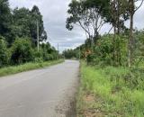 ✅Vị Trí Đất Làm Mô Hình Nghỉ Dưỡng Tâm Linh Tại Huyện Tân Phú, Đồng Nai