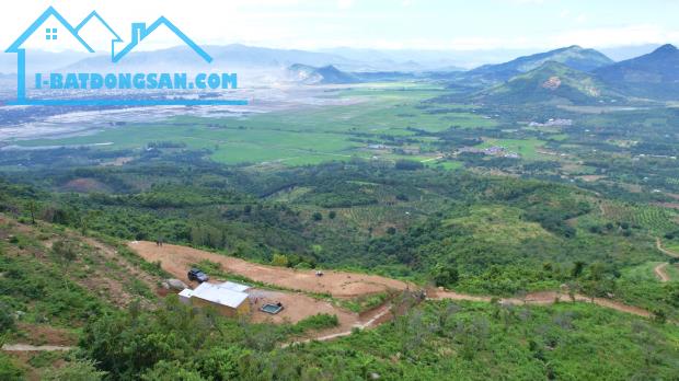 3Ha Đất View Săn Mây Cực Đẹp Tại Diên Khánh- Khánh Hoà - 3