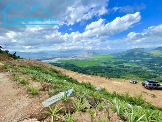 3Ha Đất View Săn Mây Cực Đẹp Tại Diên Khánh- Khánh Hoà