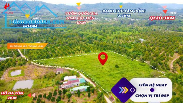 Đất vườn sầu riêng 1000m2 Huyện Tân Phú, Tỉnh Đồng Nai giá mềm - 5