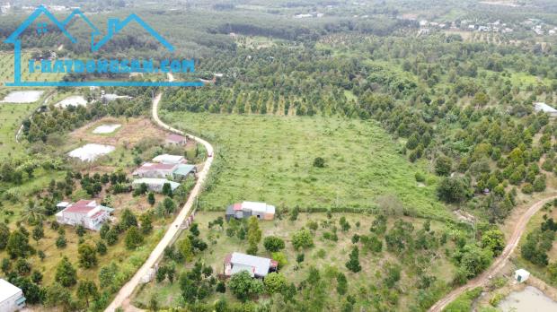 Đất vườn sầu riêng 1000m2 Huyện Tân Phú, Tỉnh Đồng Nai giá mềm - 4