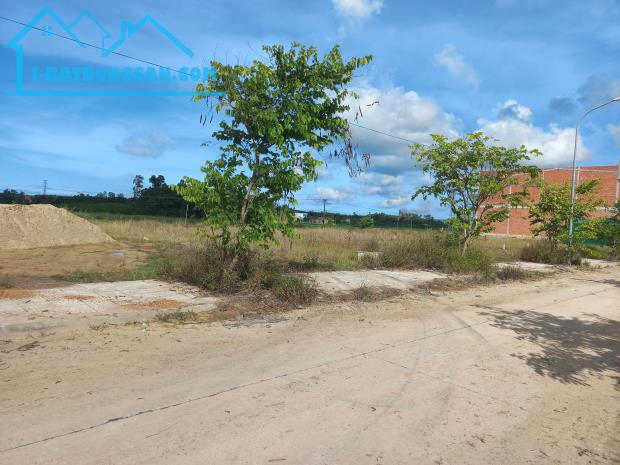 Bán lô đất cực đẹp thuộc khu tái định cư Cây Trâm, Bình Long, Bình Sơn Quảng Ngãi 10x25m - 3