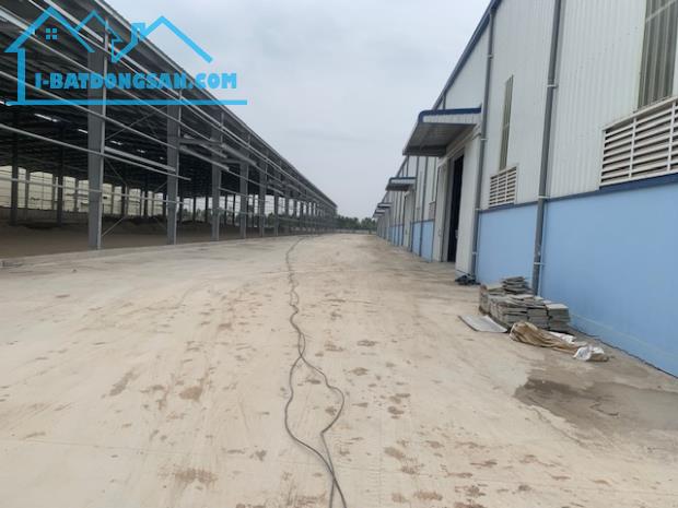 Cho thuê kho xưởng DT 2000m2, 3000m2- 7000m2 KCN Chỉ Đạo, Văn Lâm, Hưng Yên - 3