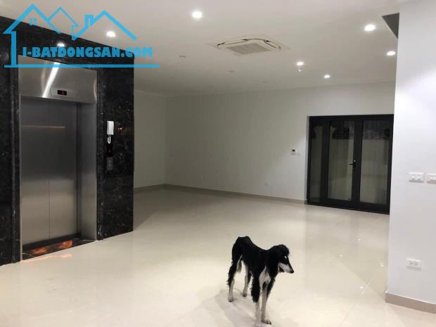 Siêu phẩm Đường Cầu Giấy ô tô – vỉa hè 100m2 , MT5m, 6 tầng 26 tỷ .