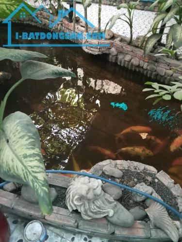 Nhà cấp 4 khu Bình Phú, MT Hậu Giang- Nguyễn Văn Luông, P11, Q6 (DT 332m2) chỉ 70m2. 24 tỷ - 2