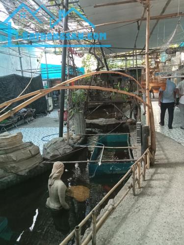 Nhà cấp 4 khu Bình Phú, MT Hậu Giang- Nguyễn Văn Luông, P11, Q6 (DT 332m2) chỉ 70m2. 24 tỷ