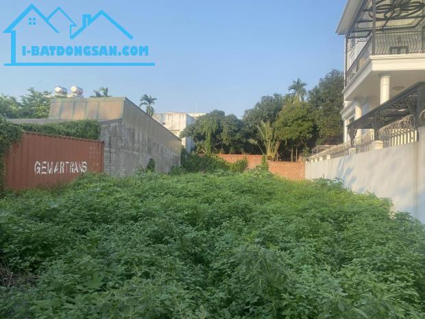 🏡🏡🏡Bán đất biệt thự  phố Trần Quốc Lặc Khu Bắc Thanh Niên - Quang Trung - 3