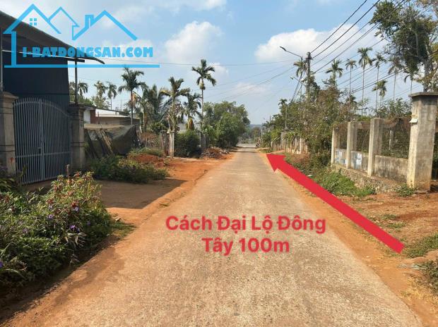 Cần Bán Lô đất 8x26 ngay Đại Lộ Đông Tây, và QL27 - Hòa Thắng - BMT - 2