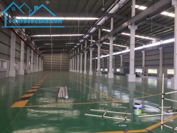 Cho thuê kho xưởng mới xây dựng, diện tích 7000m2 xưởng và 1100m2 văn phòng - 2