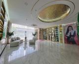 Bán nhà Vũ Ngọc Phan mặt phố kinh doanh lô góc thang máy DT 100 m2, giá 49 tỷ
