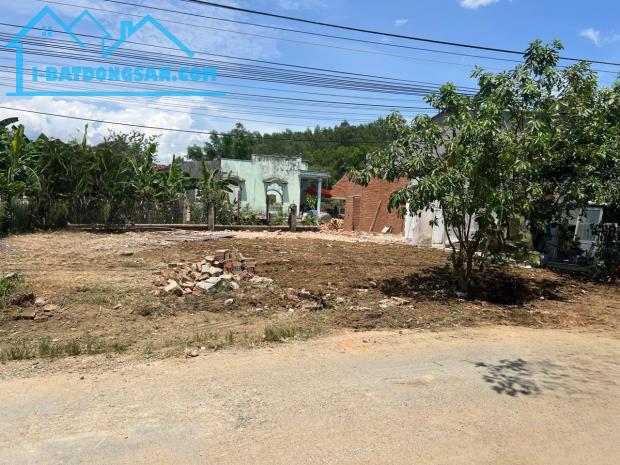 Bán đất Diên Đồng có thổ cư mặt tiền đường nhựa liên xã - 3