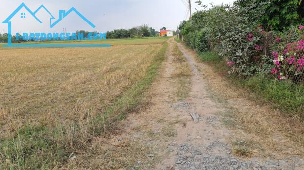 Bán đất 12.4 x 55m (682m2) ấp Bình Lợi, xã Hòa Khánh Đông, Đức Hòa, Long An giá 3.6 tỷ - 1