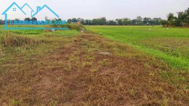 Bán đất 12.4 x 55m (682m2) ấp Bình Lợi, xã Hòa Khánh Đông, Đức Hòa, Long An giá 3.6 tỷ