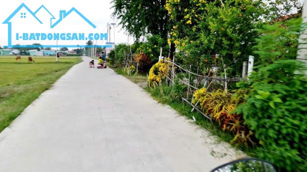 Bán Đất 10x59m đường xe hơi ấp Bình Thủy, xã Hòa Khánh Đông, Đức Hòa, Long An giá 2.5 tỷ - 5