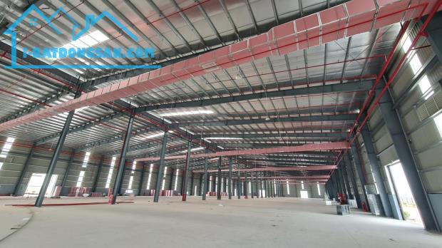 Cho thuê xưởng sản xuất tiêu chuẩn 11.500m2 Yên Mỹ, Hưng Yên