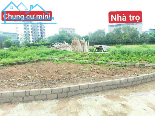 Cơ Hội Đầu Tư Độc Đáo - Mảnh Đất 106m2 Lô Góc Thôn Phú Hữu,Tân Xã giá 19,5 triệu/m2 - 4