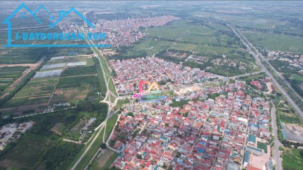 Bán đất đấu giá Thôn Đông Tàm Xá Đông Anh gần dự án Vinhomes Cổ Loa - 6