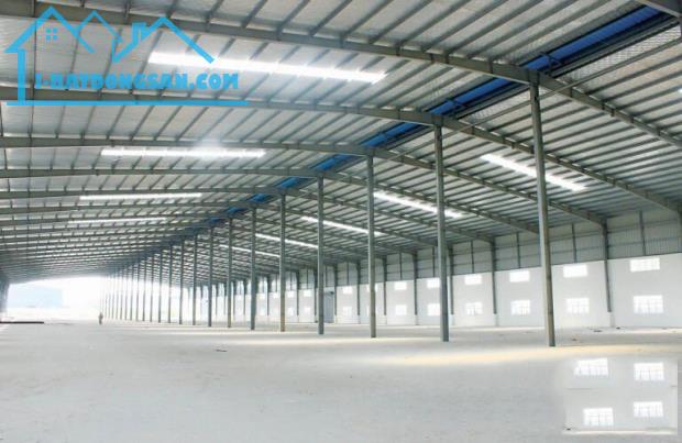 B15: Cho thuê kho 3100m2-6000m2-10000m2 khu công nghiệp Nhơn Trạch 2