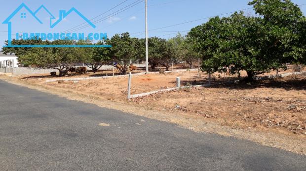 Rẻ nhất thị trường-Đất MT 28m DT715-Thiện Nghiệp-Phan Thiết-DT 5.820m2,có 400m2 thổ cư. - 1