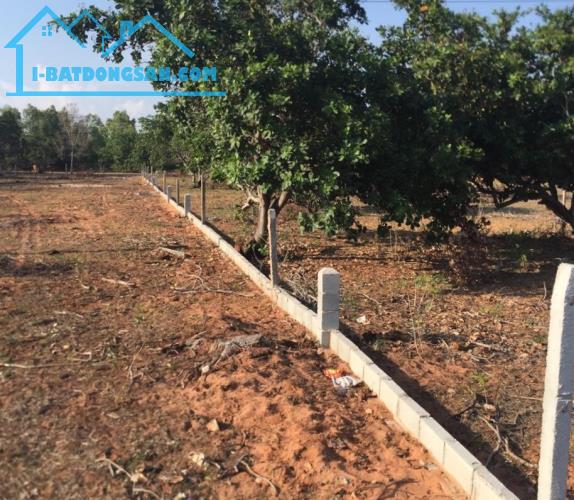 Rẻ nhất thị trường-Đất MT 28m DT715-Thiện Nghiệp-Phan Thiết-DT 5.820m2,có 400m2 thổ cư.