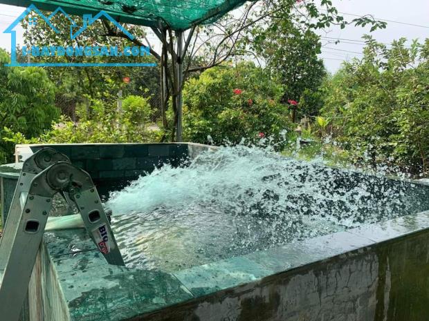 Bán nhà vườn mặt tiền Long Chiến, Bình Lợi, Vĩnh Cửu, 5600m2, giá 15 tỷ. - 3