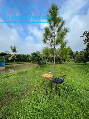 Bán nhà vườn mặt tiền Long Chiến, Bình Lợi, Vĩnh Cửu, 5600m2, giá 15 tỷ. - 4