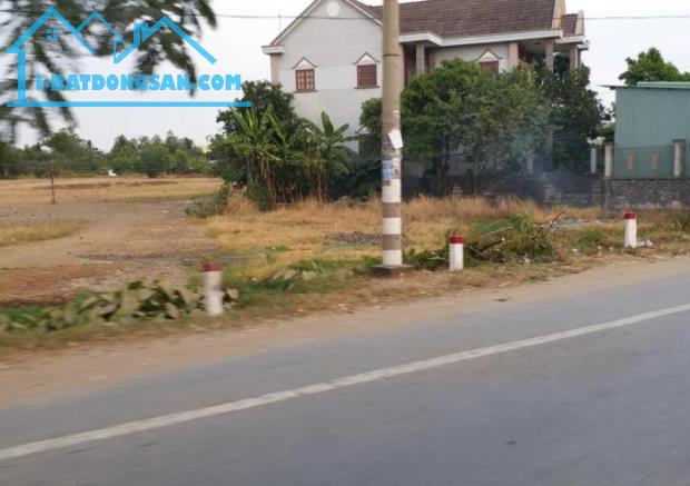 KẸT TIỀN SANG GẤP 1.600M2 ĐẤT THỔ CƯ NGAY KHU CÔNG NGHIỆP, TRƯỜNG HỌC, CHỢ. GIÁ 190 TR/SỔ - 1