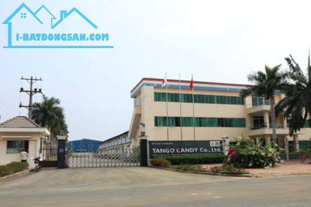 KẸT TIỀN SANG GẤP 1.600M2 ĐẤT THỔ CƯ NGAY KHU CÔNG NGHIỆP, TRƯỜNG HỌC, CHỢ. GIÁ 190 TR/SỔ