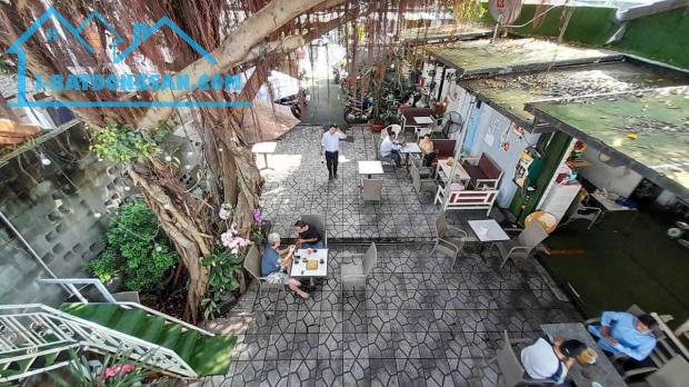 Bán Quán Cafe DT 346M2 mặt tiền đường Cách Mạng Tháng 8 mặt sau View Sông Đồng Nai - 5